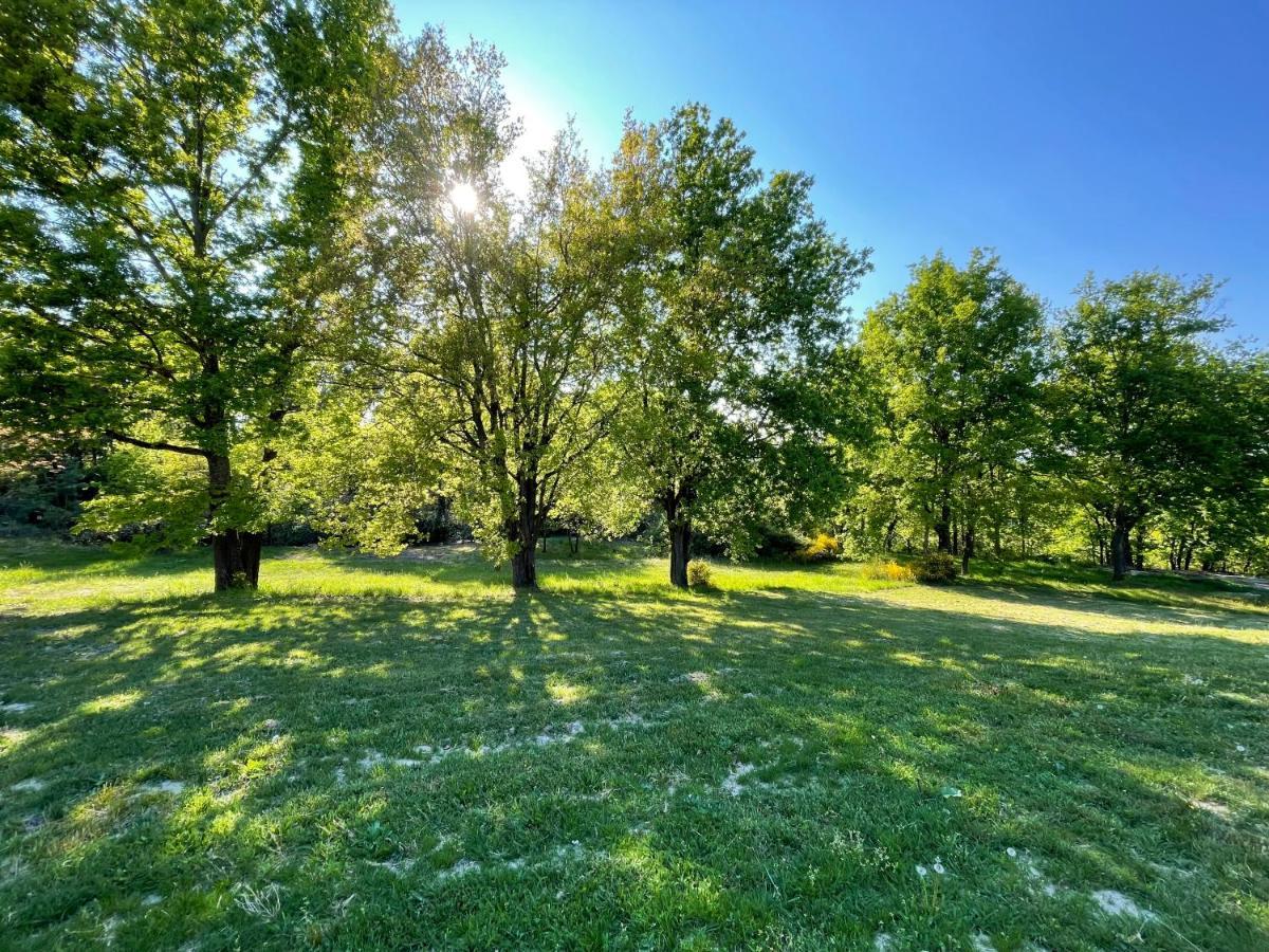 Villa La Perroquet Poncins